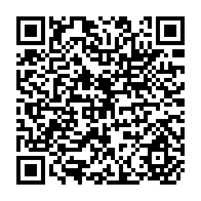 QR Code for Practical Micro Finance