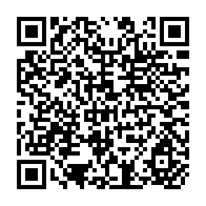 QR Code for Mapping a Winnnig Training Approach