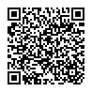 QR Code for The Survey Handbook