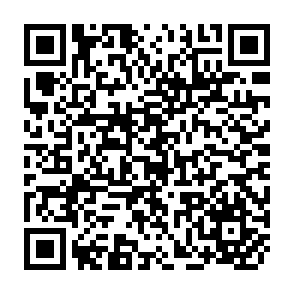 QR Code for Teaching Yourself Social Theory
