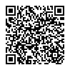 QR Code for Making Sense of Social Research
