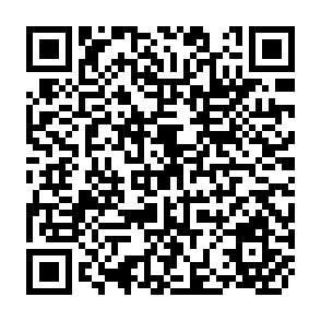 QR Code for Water Productivity in the Syr-Darya Rever Basin
