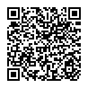 QR Code for Family Life of Latin American Urban Migrants :Three Case Studies In Bogota