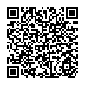 QR Code for A New Institutional Approach to Economic Development