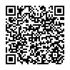 QR Code for Operationalising Sustainable Development