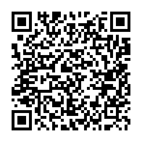 QR Code for The Double Burden of Malnutrition in Asia