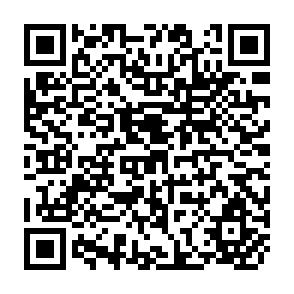 QR Code for The Economist's Tale