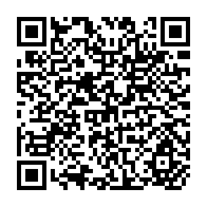 QR Code for Behind the scenes at the WTO