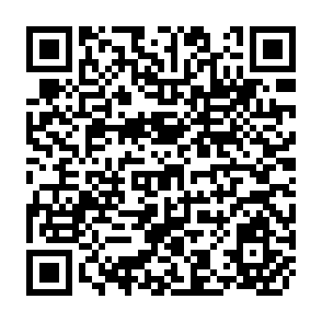 QR Code for Financial Opening under the WTO Agreement in Selected Asian Countries: Progress and Issues