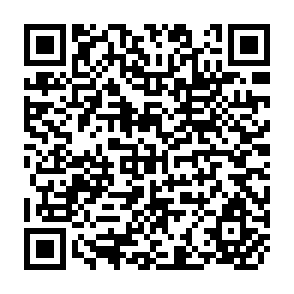QR Code for Revisiting Growth and Poverty Reduction in Indonesia: What Do Subnational Data Show?