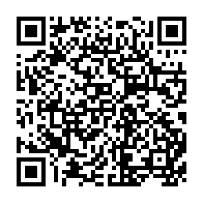 QR Code for Causes of The 1997 Asian Financial Crisis:What can an Early Warning System Model Tell Us?