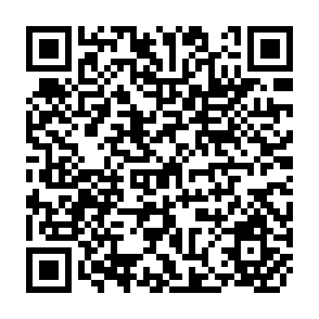 QR Code for Environment Statistics in Central Asia: Progress and Prospects