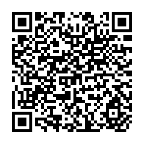 QR Code for Foreign Direct Investment in Developing Asia: Trends, Effects, and Likely Issues for the Forthcoming WTO Negotiations