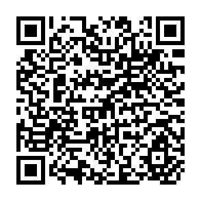QR Code for The Political Economy of Good Governance for Poverty Alleviation Policies