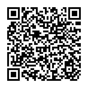 QR Code for Bringing Back the Forests