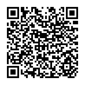 QR Code for Statistical Bulletin Of SAARC Agricultural Data-2003