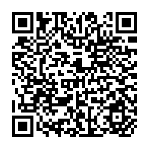 QR Code for Old Wine in New Bottles? Rural Finance and Social Fund in Argentina