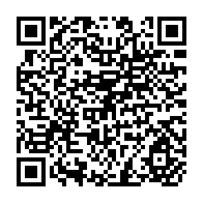 QR Code for Irigation and Collective Action: A Study in Method with Reference to the Shiwalik Hills,Haryana