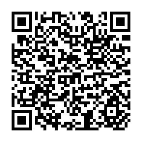 QR Code for Seeds that give Participatory Plant Breeding