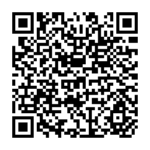 QR Code for Policies Drain the North China Plain: Agricultural Policy and Grounfwater Depletion in Luancheng Country, 1949-2000