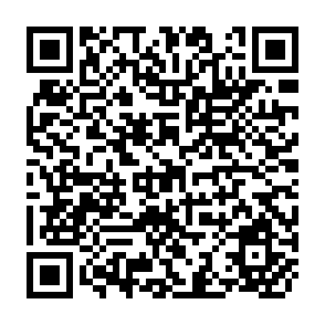 QR Code for Food Security Effects Of Intensified Dairying: Evidence From The Ethiopian Highlands
