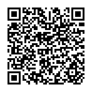 QR Code for Agricultural Extension Reform in Africa: Insights and Lessons from Livestock Disease Control in South-West Ethiopia