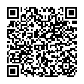 QR Code for State of Forestry in Asia and the Pacific-2003 Status, Changes and Trends