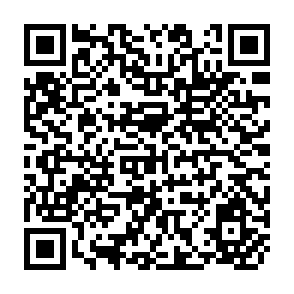 QR Code for Welfare Impacts of Electricity Generation Sector Reform in the Philippines