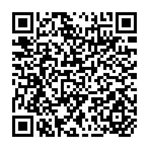 QR Code for Asia-Pacific Forestry Commission: Twentieth Session