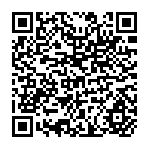 QR Code for Brave New Seeds