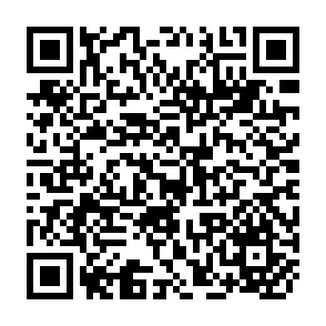 QR Code for The Subsistence Perspective