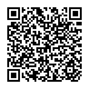 QR Code for Human Development Report 2004