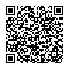QR Code for Delegation