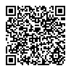 QR Code for The Basis For Agricultural Price Policy