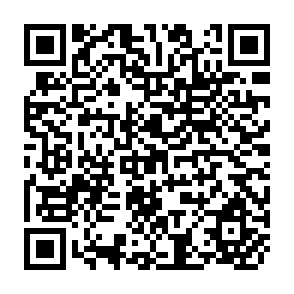 QR Code for Malnutrition: A Poverty or a Food Problem?