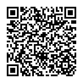 QR Code for In Search of Sustainable Livelihood Systems