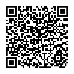 QR Code for Environmental Case Studies Central Region