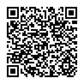 QR Code for Palestine/ Israel: Peace or Apartheid
