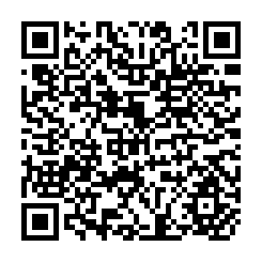 QR Code for Community Initiative for Fisheries Development An Evaluation of the Pankowri Fishery Project in Daudkandi, Bangladesh