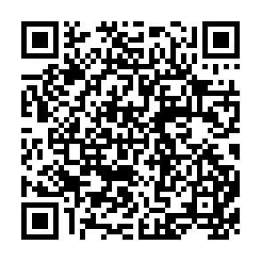 QR Code for The Late Development Effect