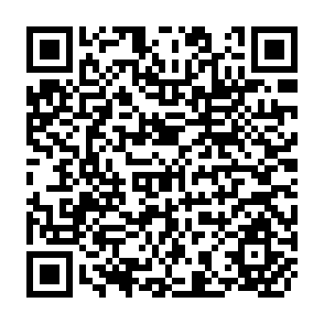 QR Code for Human Well-Being: Concepts and Conceptualizations