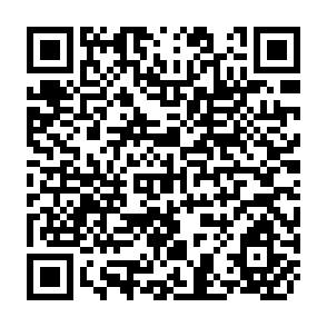 QR Code for Conditional Cash Transfers : Why Have they Become So Prominent in Recent Poverty Reduction Strategies in Latin America