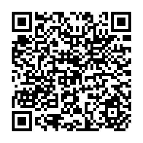 QR Code for The Impact Of Economic Policies On Poverty And Income Distribution