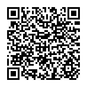 QR Code for Globalization and South Asia Multidimensional Perspectives
