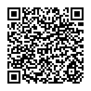 QR Code for World Bank Group