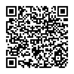 QR Code for World Development Indicators 2004