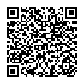 QR Code for The WTO and the Multilateral Trading System: Past, Present and Future
