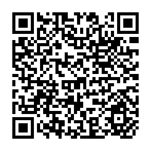 QR Code for Agricultural Incentives in India Past Trends and Prospective Paths towards Sustainable Development