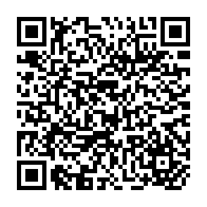 QR Code for Country experiences in decentralization in south asia