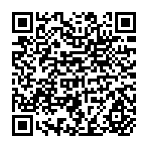 QR Code for ERD Working Paper Series No.53